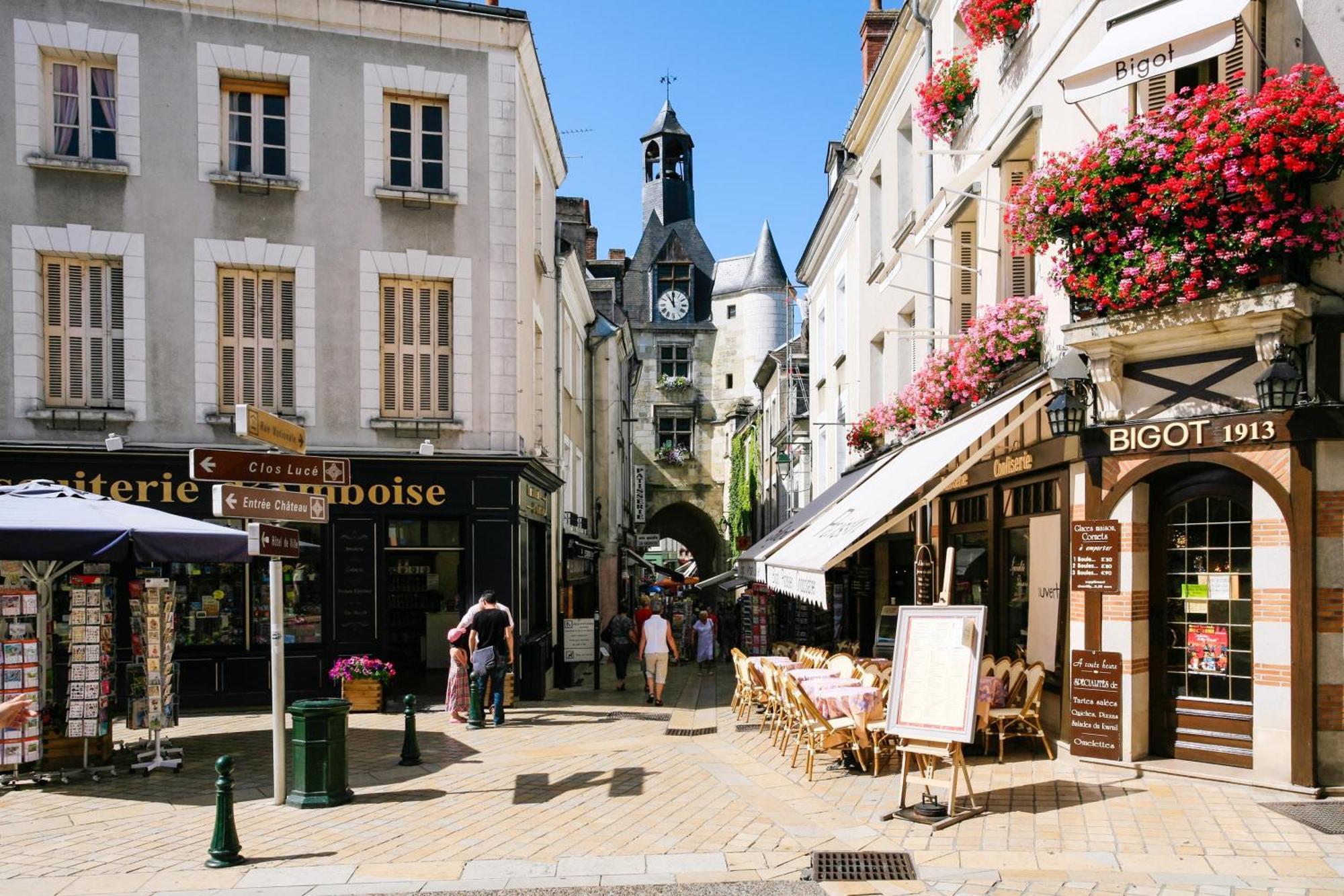 Terrasse Sur La Tour Garconnet Apartment Amboise Exterior foto